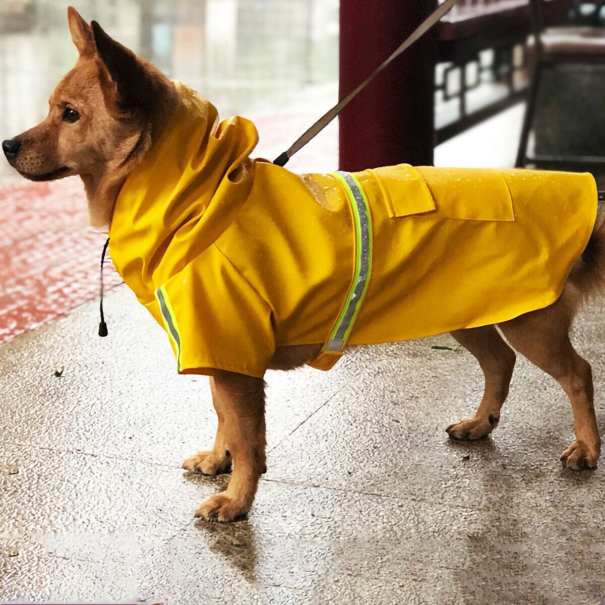 Waterproof Dog Rain Jacket with Safety Reflective Stripe