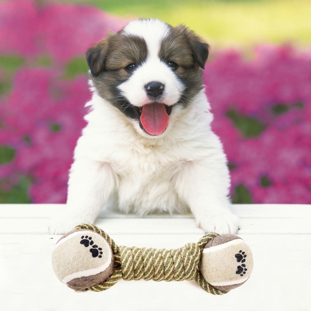 Interactive Cotton Rope Chew Toy