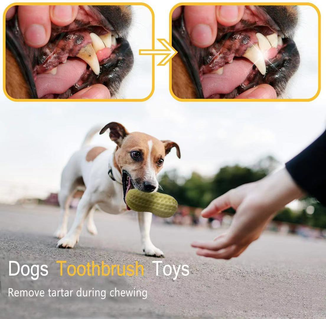 Rubber Peanut Clean Tooth Chew Toy