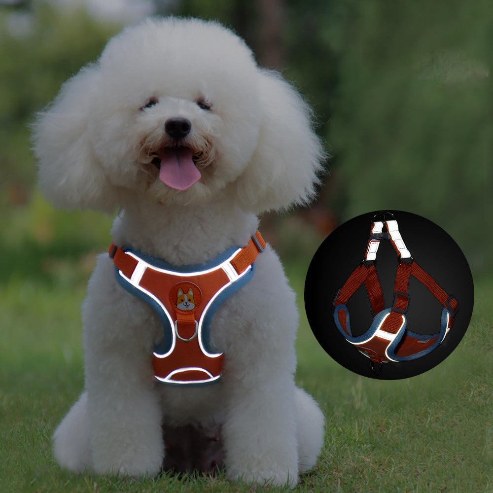 Adjustable Dog Harness with Leash