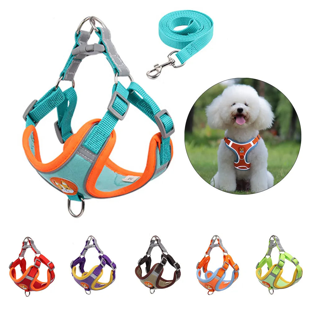 Adjustable Dog Harness with Leash