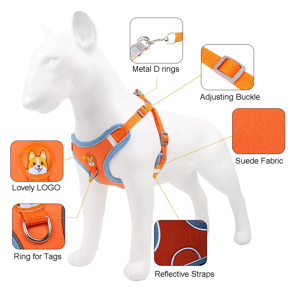 Adjustable Dog Harness with Leash