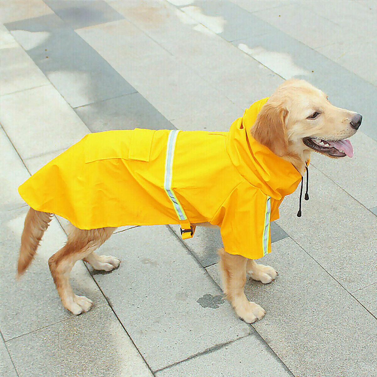 Waterproof Dog Rain Jacket with Safety Reflective Stripe