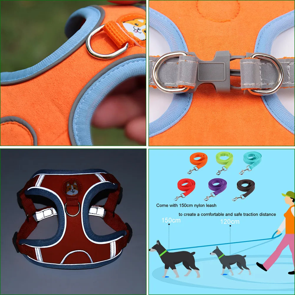 Adjustable Dog Harness with Leash