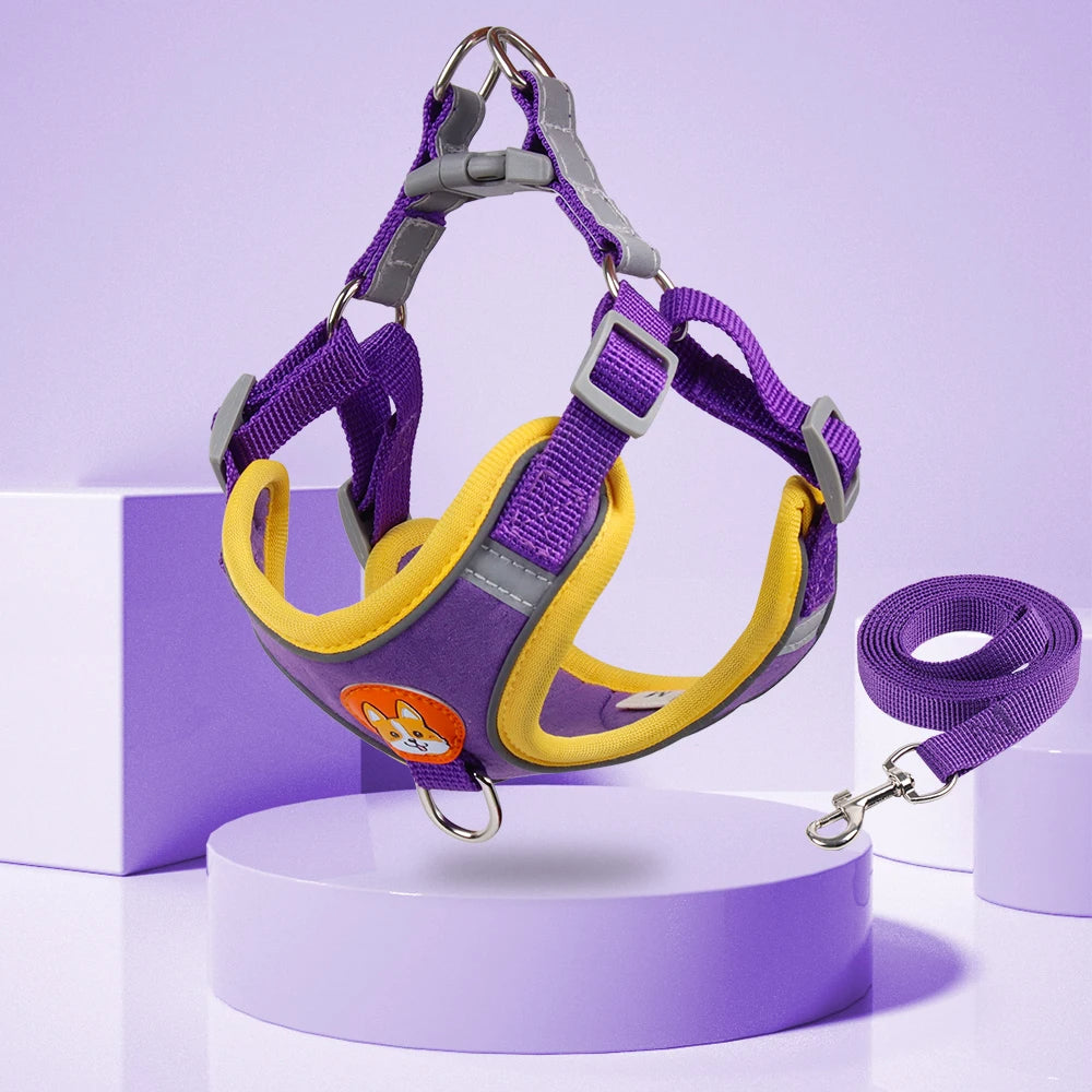 Adjustable Dog Harness with Leash