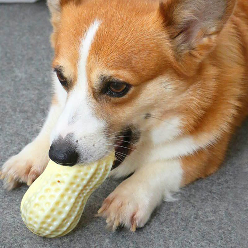 Rubber Peanut Clean Tooth Chew Toy