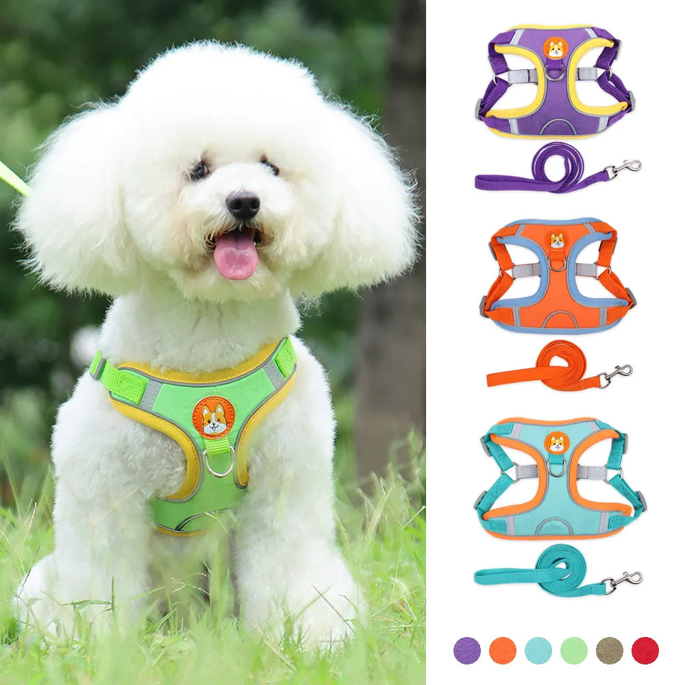 Adjustable Dog Harness with Leash