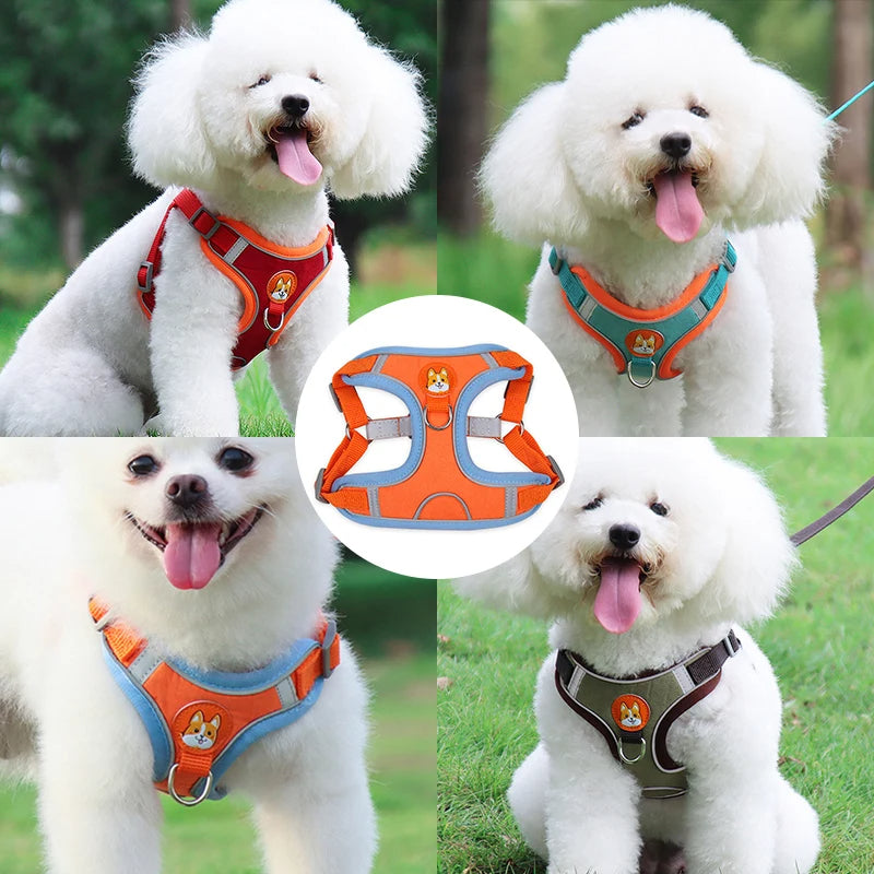 Adjustable Dog Harness with Leash