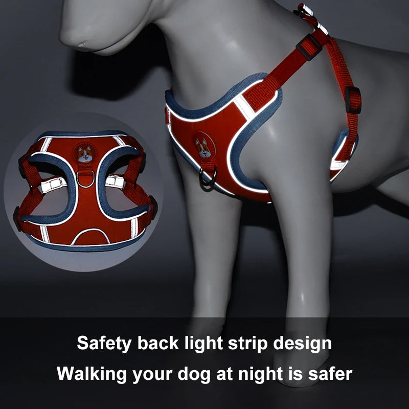 Adjustable Dog Harness with Leash